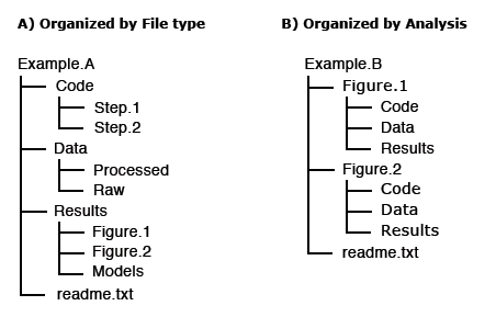 Dryad File Structures