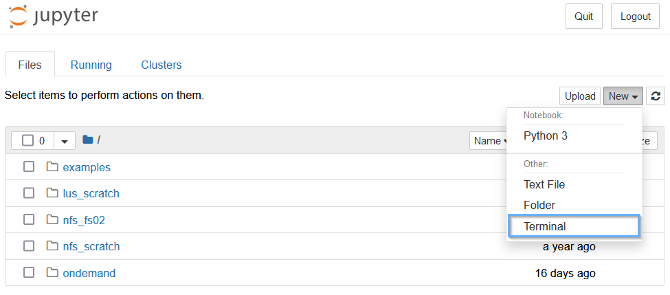 Jupyter Home, "Terminal" button selected